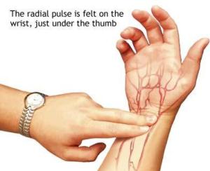 (Just in case you honestly can't think of anything to be thankful for.)